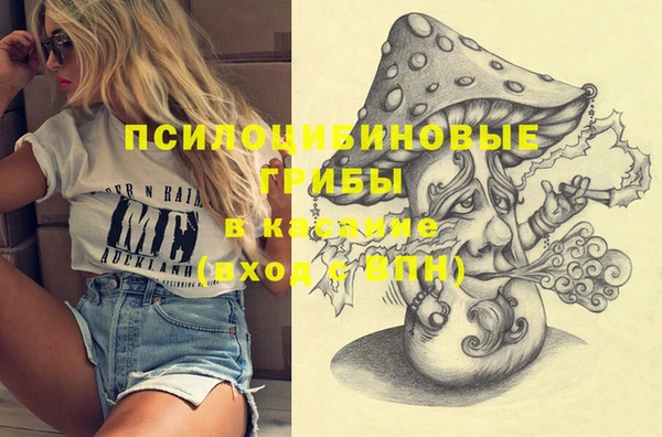 прущая мука Алзамай