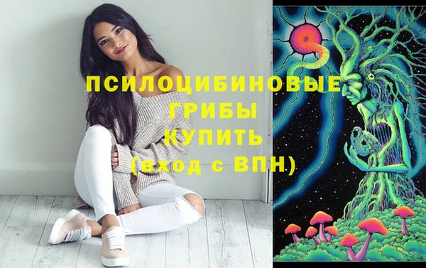 твердый Рославль