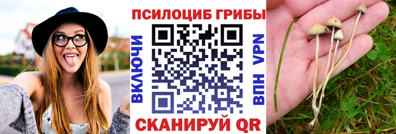 Псилоцибиновые грибы Magic Shrooms  Дрезна 
